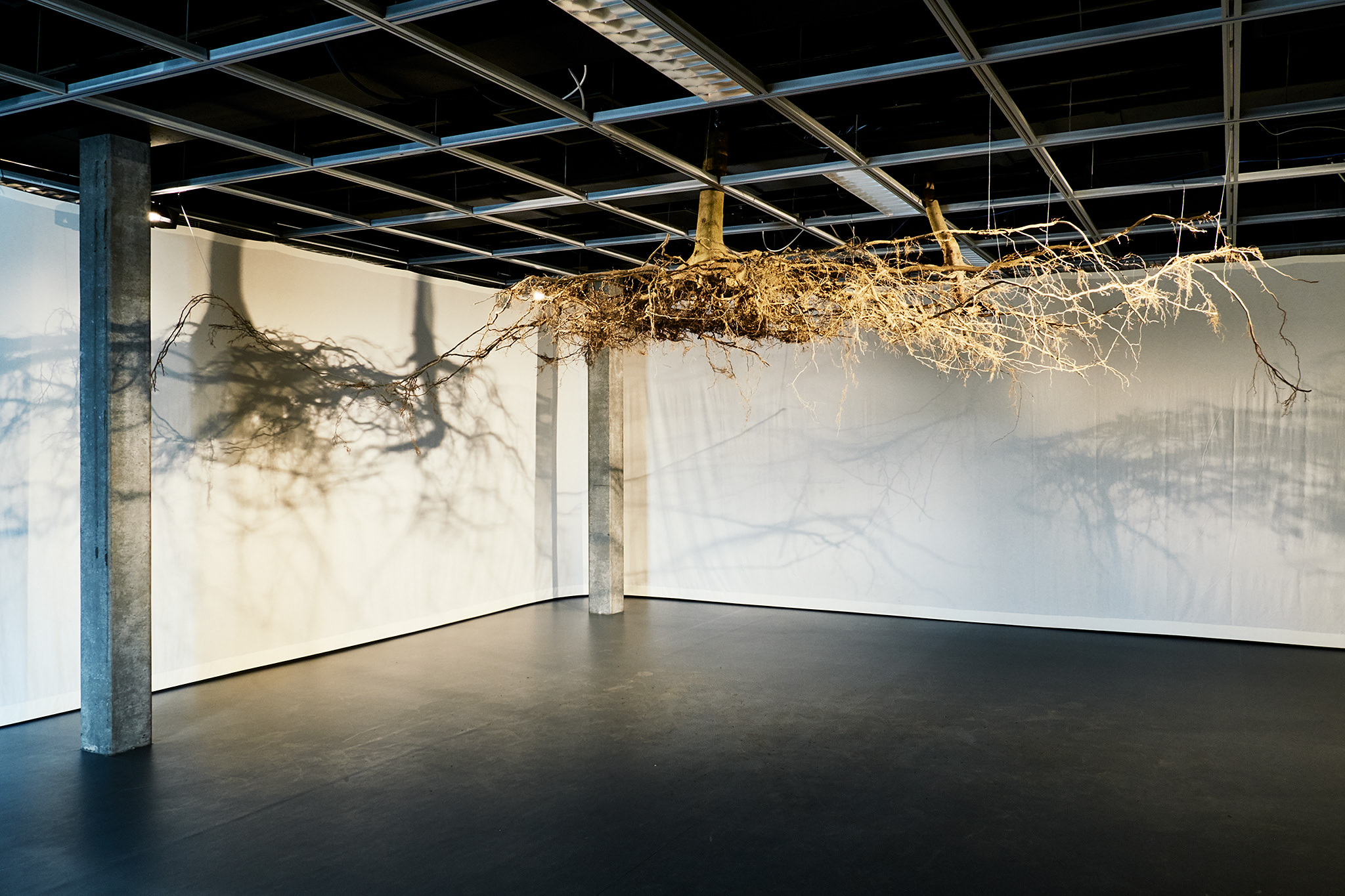 LIVE MATTER - Design Vegetal